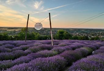 Levendul  szat has Balcony rooms