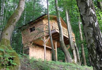 Treehouse Velk   Losiny has Balcony rooms
