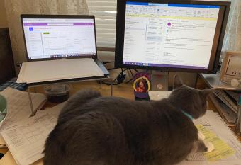 Saunders Indianapolis has Balcony rooms