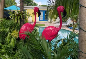 Calypso Inn Wilton Gay Male Resort allows 18 year olds to book a room