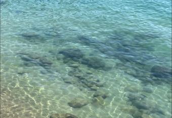 5 Cinque Terre Monolocale in Centro a La Spezia Hotel allows 18 year olds to book a room