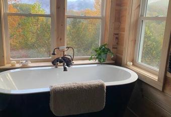 Cabin with a view in Hot Springs   walk to AT has rooms with a private hot tub