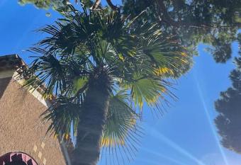 Chambres d   t   aux Lecques    100 m de la mer has Balcony rooms