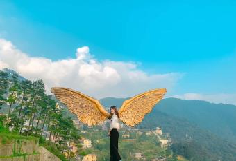 Mimosa villa has Balcony rooms