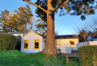 Woodland Lodges with Woodburners and Amazing Views allows 18 year olds to book a room