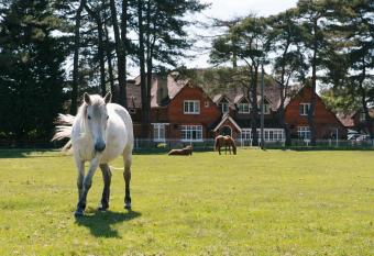 Beaulieu Hotel allows 18 year olds to book a room