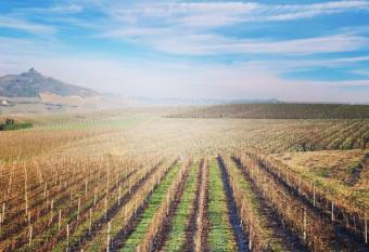 Casa AnNo has Balcony rooms