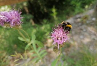 Appartamento La Corteccia has rooms with a private hot tub