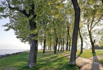 Casa Patrizia allows 18 year olds to book a room