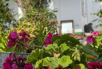 Alesta has Balcony rooms