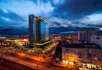 Radisson Blu Hotel, Kayseri allows 18 year olds to book a room