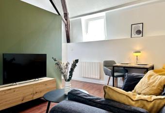 Lille Centre - Charmant appartement r  nov   allows 18 year olds to book a room