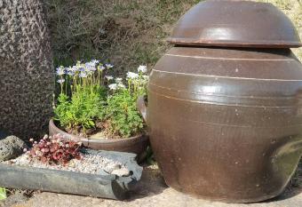 Cozy accomodation near chilgok gyeongdae hospital has Balcony rooms