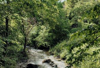 Moulin vieux allows 18 year olds to book a room