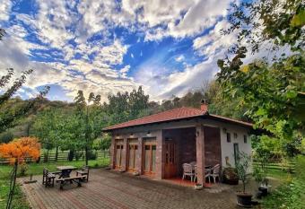 Apartman Quince Gradac has Balcony rooms