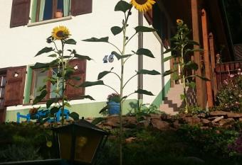 La casita linda allows 18 year olds to book a room