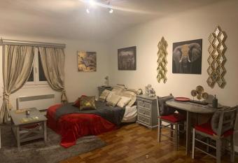 Studio de Luxe Aix en Provence allows 18 year olds to book a room