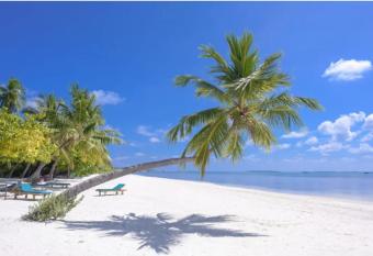 Chessy Beach Apartment, Nyali Mombasa allows 18 year olds to book a room