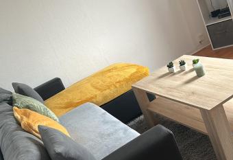 V4 euroairport fronti  re suisse allows 18 year olds to book a room