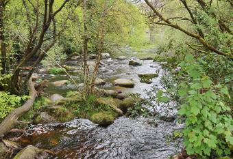 Badgers Holt House has Balcony rooms