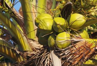Maison Bois Jolan Sainte Anne has rooms with a private hot tub