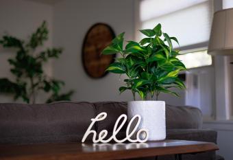 Immaculate Charming Duplex-1Unit allows 18 year olds to book a room