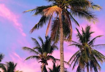 Casa Blanca Beachhouse - walking distance beach has Balcony rooms