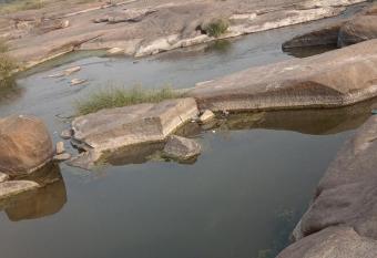 Chintamani guest apartment has Balcony rooms