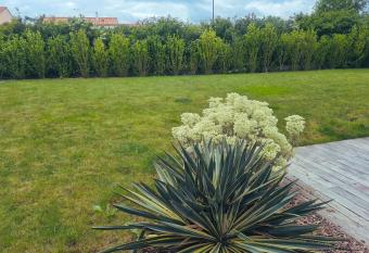 maison 70m      19min du puy/fou allows 18 year olds to book a room