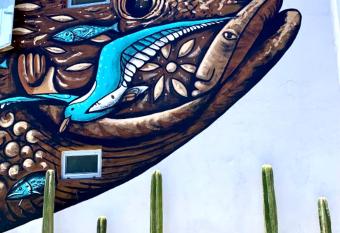 Villa Esterito allows 18 year olds to book a room