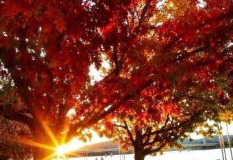 Quiet Bedroom in Kingston allows 18 year olds to book a room