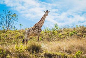 Rain Farm Game Lodge allows 18 year olds to book a room