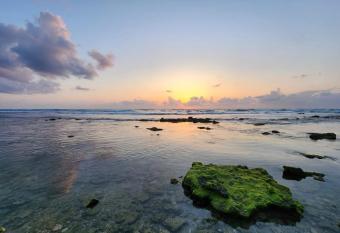 Adele Apartments allows 18 year olds to book a room