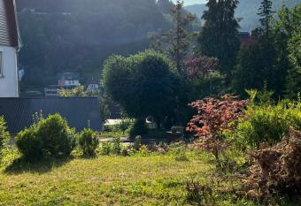 Viva la Wildbad allows 18 year olds to book a room