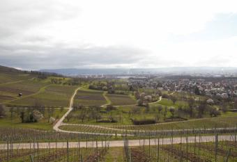 Wohlf  hloase im Dreil  ndereck has Balcony rooms