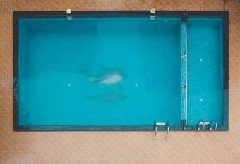 NX Anant Villa has Smoking/Balcony rooms