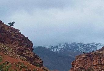 Hostel megdaz has Balcony rooms