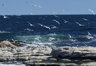 43 WHALE ROCK ESTATE allows 18 year olds to book a room