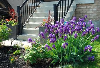 Jahsavvy's Nest has Balcony rooms