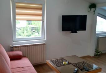 Fis Centar Apartment LOFT has rooms with a private hot tub