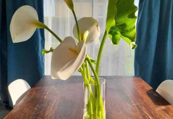 Maison proche du Port de Dinan has Balcony rooms