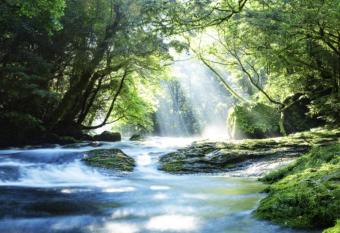 Chez Pato et Alex has Balcony rooms