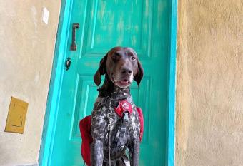 Loft Casa di Sam en Val Quirico allows 18 year olds to book a room