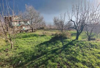 Carvaan Experiences has Balcony rooms