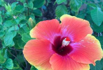 Casa Pi  a has rooms with a private hot tub