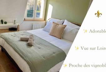 Rochecorbon - Bouchon de Loire allows 18 year olds to book a room