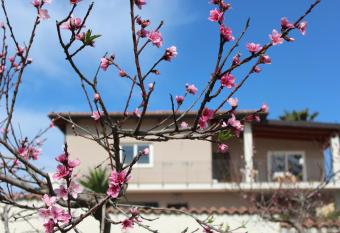 Residenza Anna Calabria has Balcony rooms