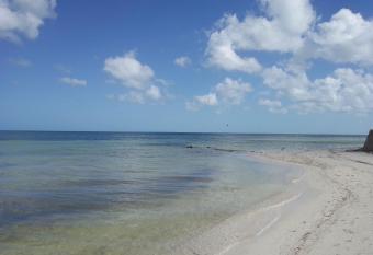 OCTOPUS 1, 2, 3 has Balcony rooms