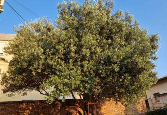 Apartmani studio apartmani Senjska maslina allows 18 year olds to book a room