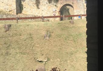 Appartamenti Il Criollo has Balcony rooms